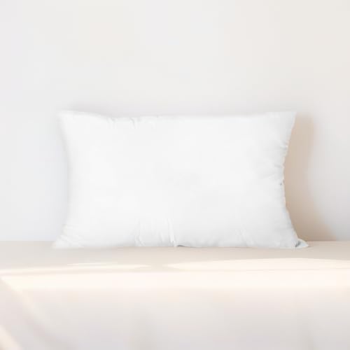 AzulHome 12x20 Pillow Inserts for Sofa and Bed