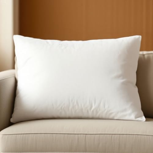 AzulHome 12x20 Pillow Inserts for Sofa and Bed