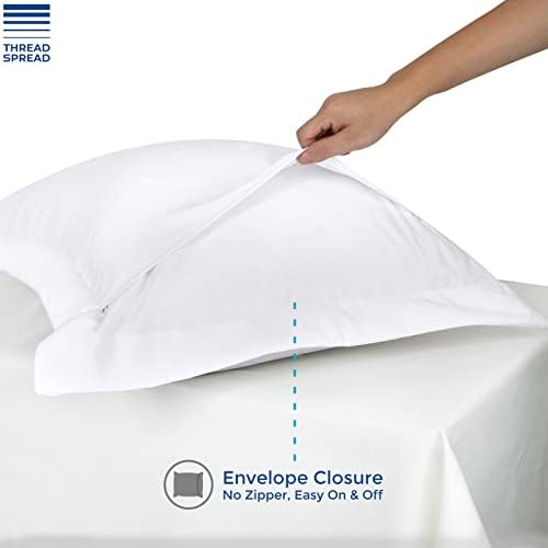 Thread Spread 100 Egyptian Cotton Pillow Shams Set of 2