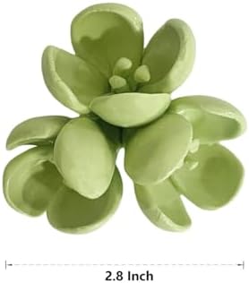 Sedum Spurium Dragons Blood Ceramic Wall Sculpture