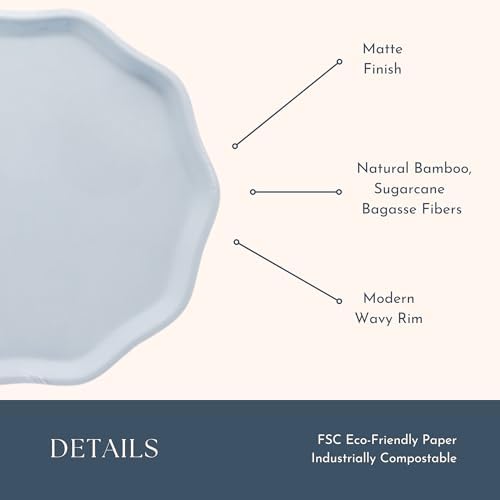 Bonjour Fete Sky Blue Compostable Dinner Plates Pack of 8
