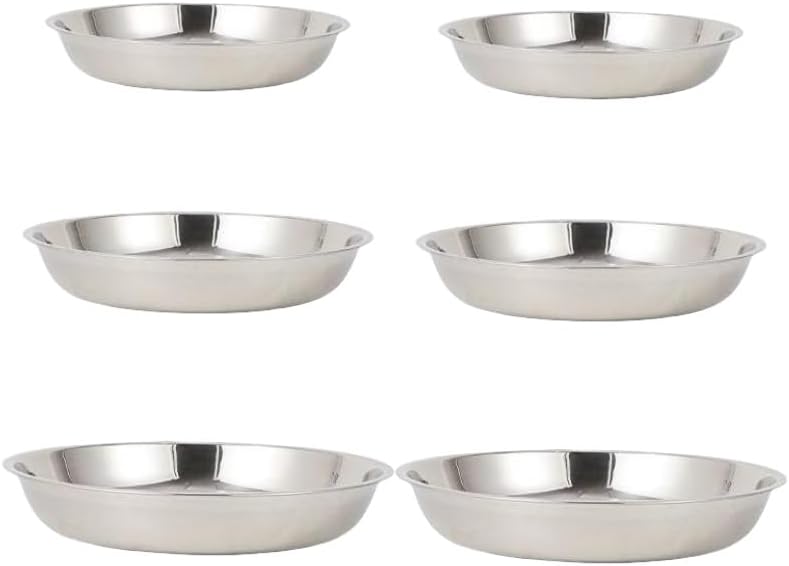 6 Pcs Stainless Steel Dinner Plates Set