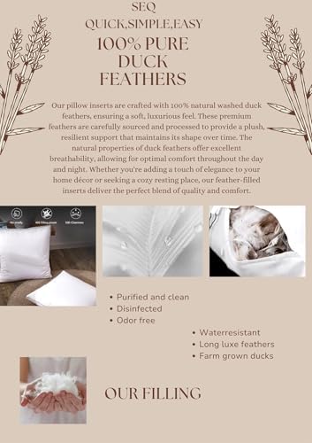 SEQ 20x20 Duck Feather Pillow Inserts - Set of 2