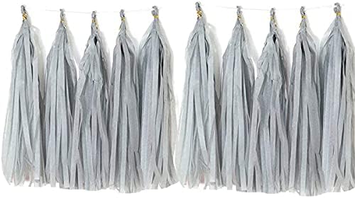 ZGjoy 20pcs Tissue Paper Tassels Garland Decor Kit