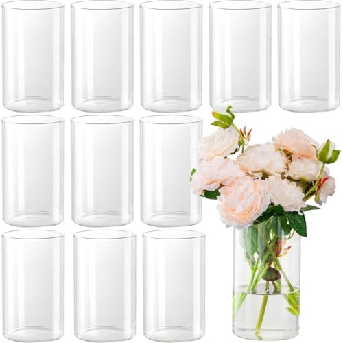 12pcs Clear Glass Cylinder Vases for Centerpieces