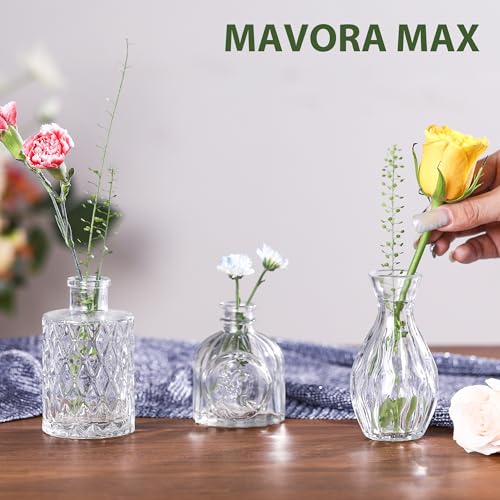 Mavora Max Clear Bud Vases 32-Pack Set