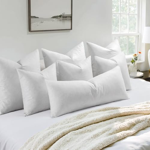 MIULEE Pillow Inserts 20x20 Inch Set of 4