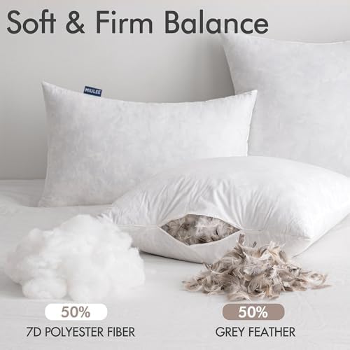 MIULEE Pillow Inserts 20x20 Inch Set of 4