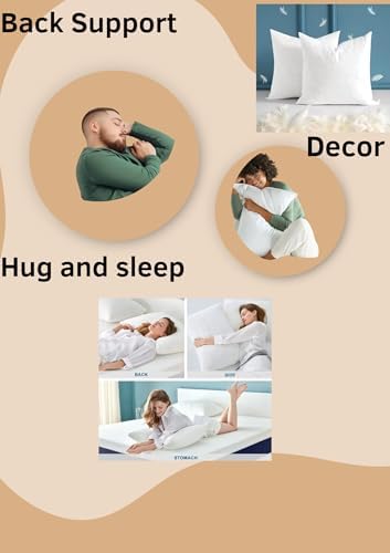 SEQ 20x20 Duck Feather Pillow Inserts - Set of 2
