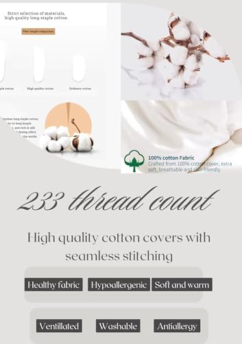 SEQ 20x20 Duck Feather Pillow Inserts - Set of 2