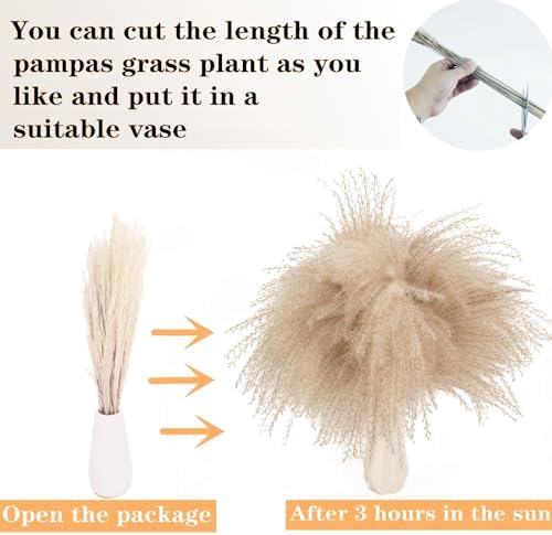 ANPROOR Dried Pampas Grass Decor 120 PCS Set