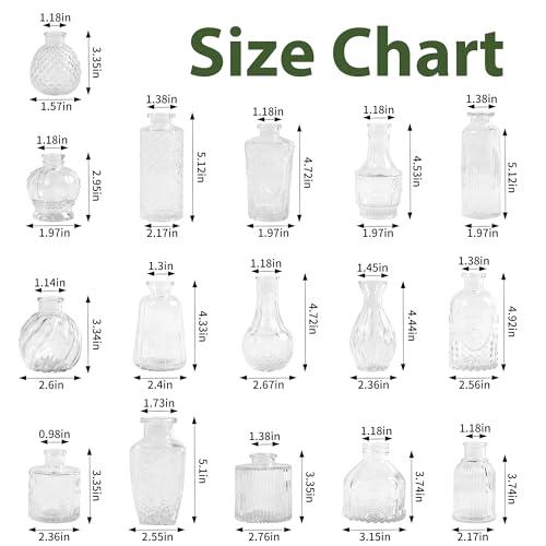 Mavora Max Clear Bud Vases 32-Pack Set