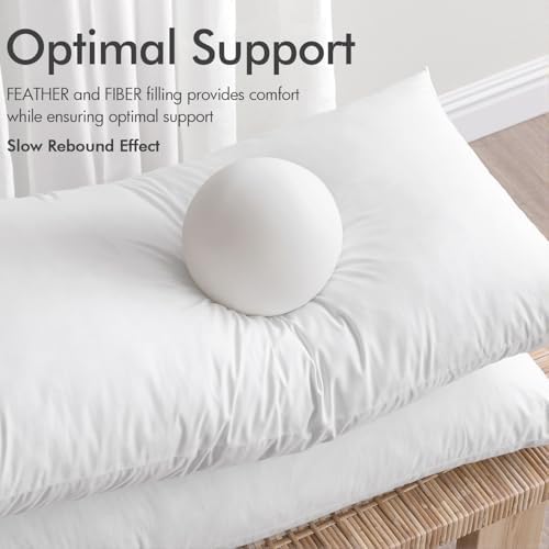 MIULEE Pillow Inserts 20x20 Inch Set of 4