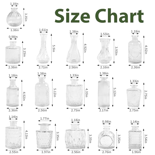 Mavora Max Clear Bud Vases 32-Pack Set