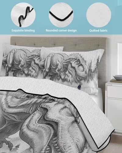 Stongaro Dinosaur Boy Quilt Comforter Set 3 Piece Twin XL