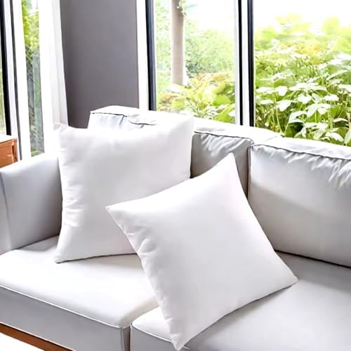 SEQ 20x20 Duck Feather Pillow Inserts - Set of 2