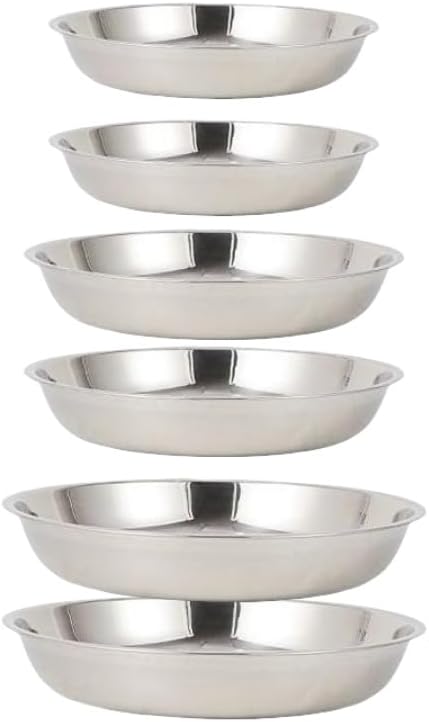 6 Pcs Stainless Steel Dinner Plates Set