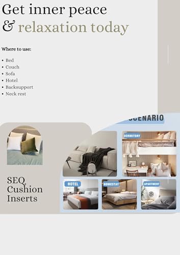 SEQ 20x20 Duck Feather Pillow Inserts - Set of 2