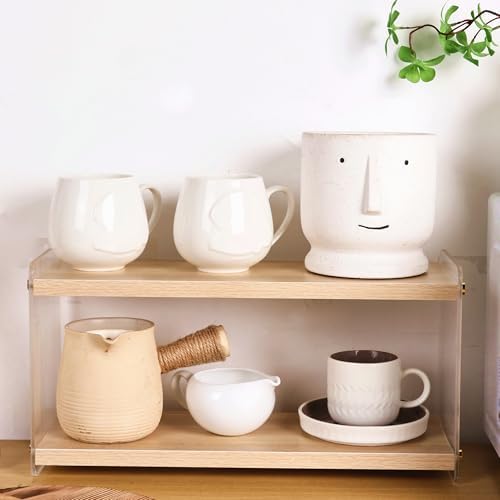 Coffee Counter Organizer with 2 Tiers and Mug Hooks