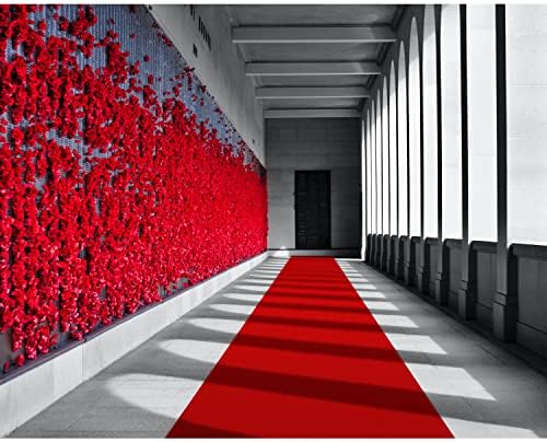 EZLucky Red Carpet Runner 26X30 ft Hollywood Red
