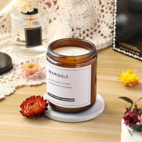 24 Pack 8oz Amber Glass Jars with Black Lids