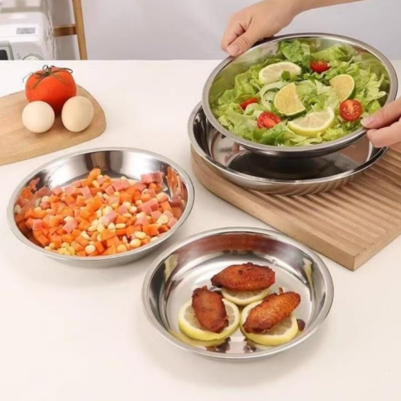 6 Pcs Stainless Steel Dinner Plates Set