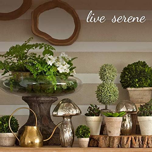Serene Spaces Living Set of 6 Leaf Shape Tray