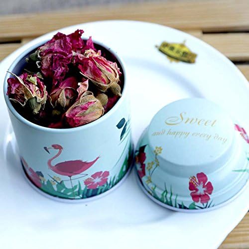 TooGet Cylinder Tinplate Tins 6-Pack for DIY Candles and Storage