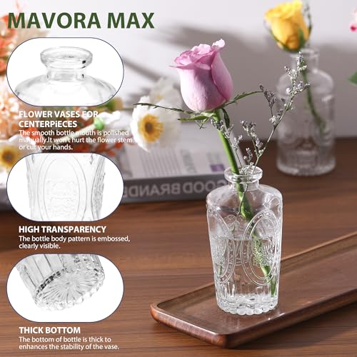 Mavora Max Clear Bud Vases 32-Pack Set