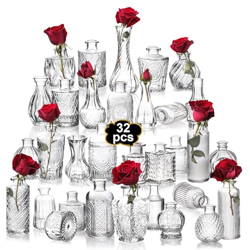 Mavora Max Clear Bud Vases 32-Pack Set