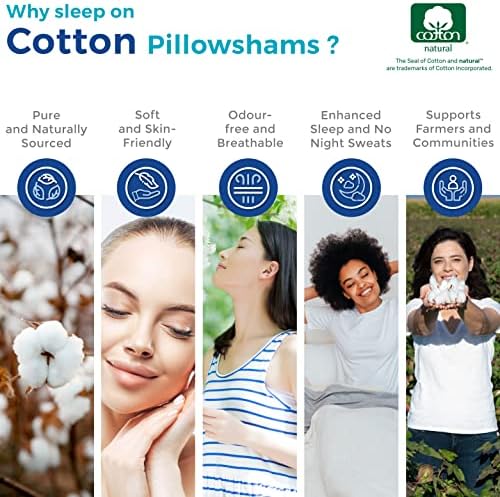 Thread Spread 100 Egyptian Cotton Pillow Shams Set of 2