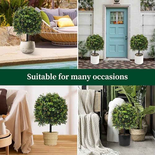 KUKKUME Artificial Boxwood Topiary with Reddish Fruit Set of 2