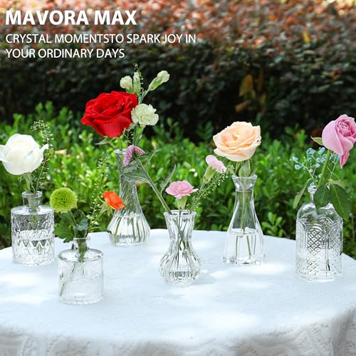 Mavora Max Clear Bud Vases 32-Pack Set