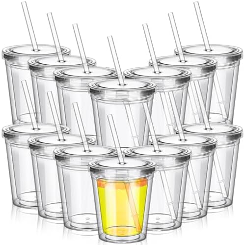 15 Pcs Clear Tumblers with Lid and Straw for Kids