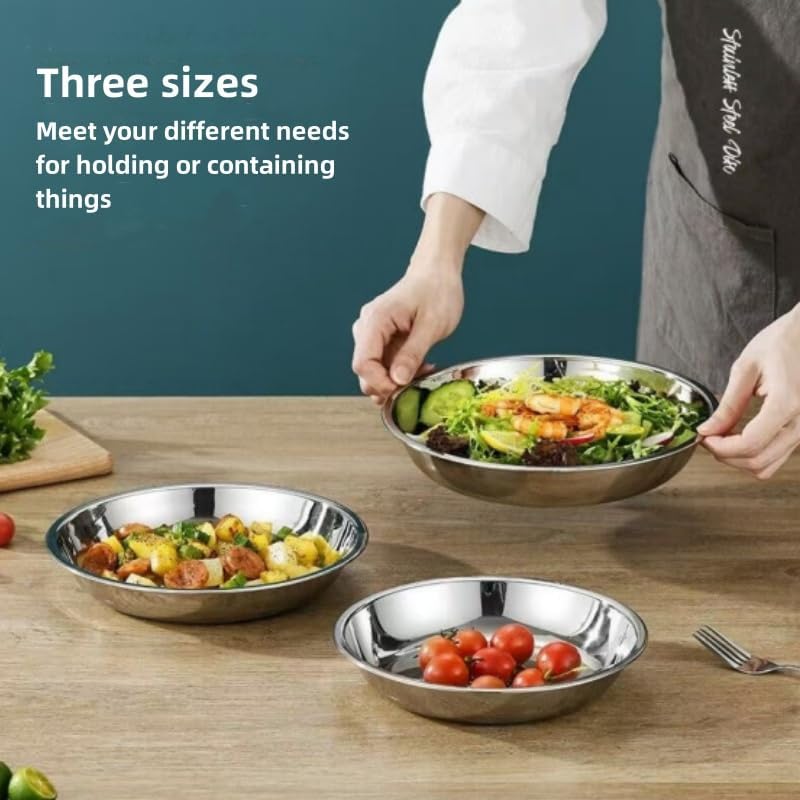 6 Pcs Stainless Steel Dinner Plates Set