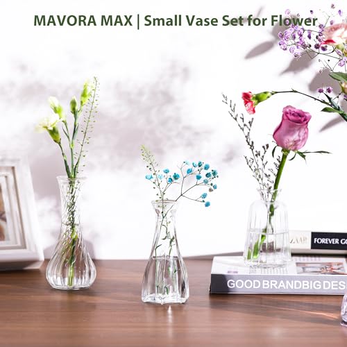 Mavora Max Clear Bud Vases 32-Pack Set