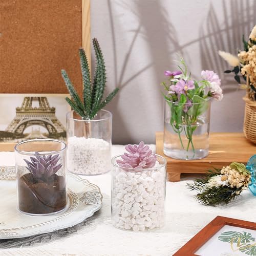 Vesici 20 Pcs Plastic Cylinder Vase 4 Inch