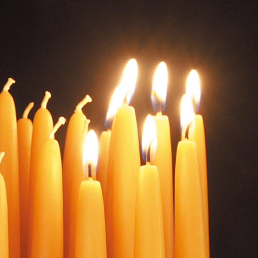 Beeswax Lights of Joy Christmas Tree Candles 4 Inch 20 Pack White