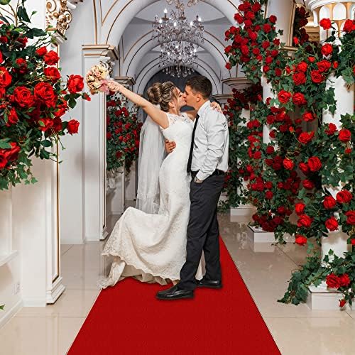 EZLucky Red Carpet Runner 26X30 ft Hollywood Red