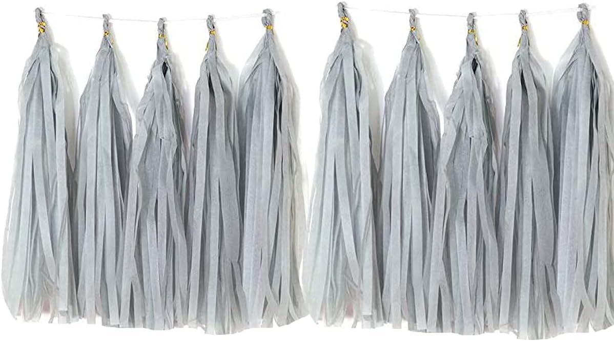 ZGjoy 20pcs Tissue Paper Tassels Garland Decor Kit