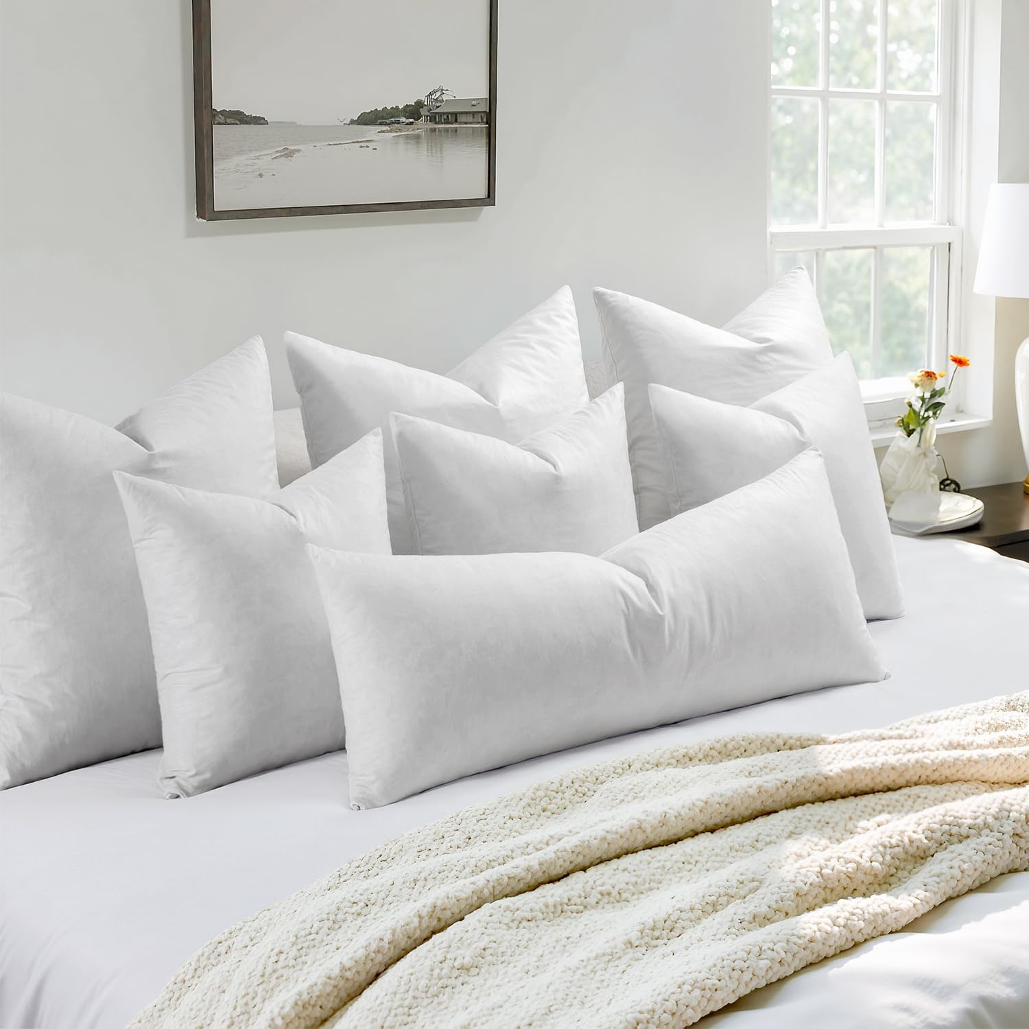 MIULEE Pillow Inserts 20x20 Inch Set of 4