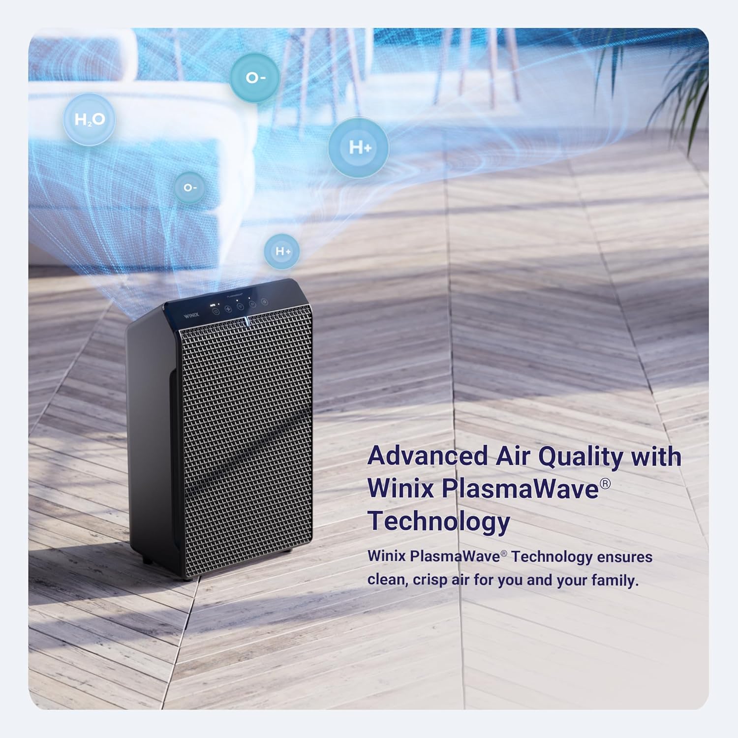 Winix 5520 Air Purifier for Large Room