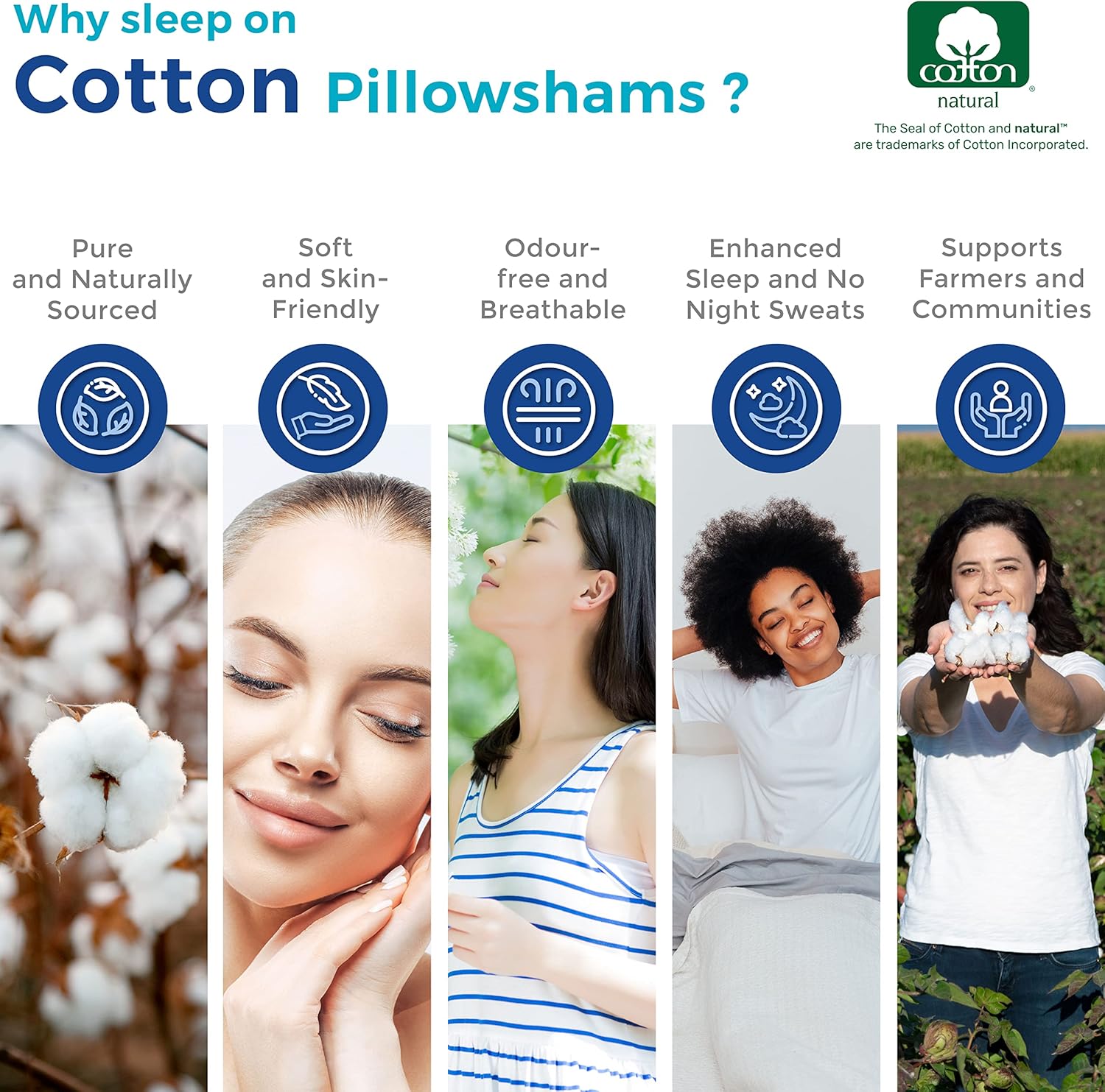 Thread Spread 100 Egyptian Cotton Pillow Shams Set of 2
