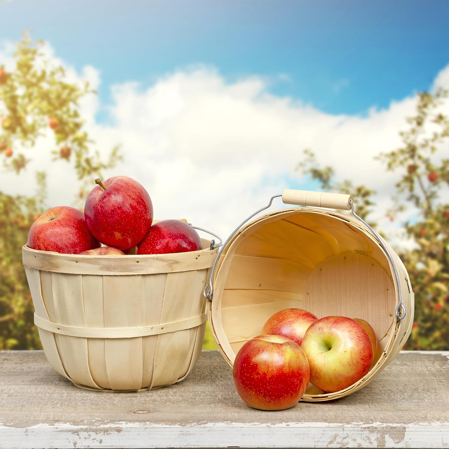 Cornucopia Brands Round Wooden Baskets 2-Pack Natural